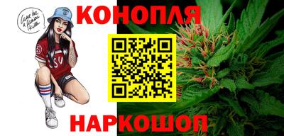 Альфа ПВП Анапа