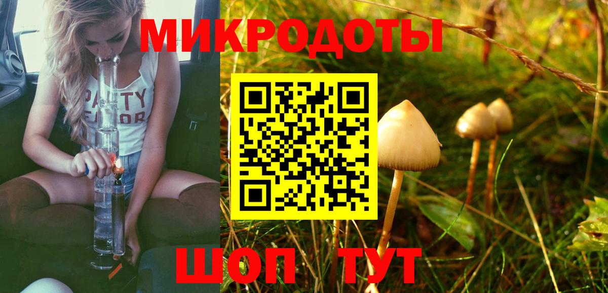 Псилоцибиновые грибы GOLDEN TEACHER  Галлюциногенные грибы GOLDEN TEACHER  купить закладку  Вход с VPN  Алексеевка 